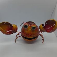 Photophore crabe